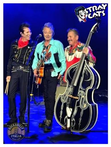 Stray Cats concert tour poster 2026